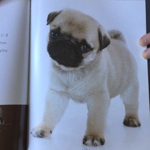 Meet your Posher, Kyle